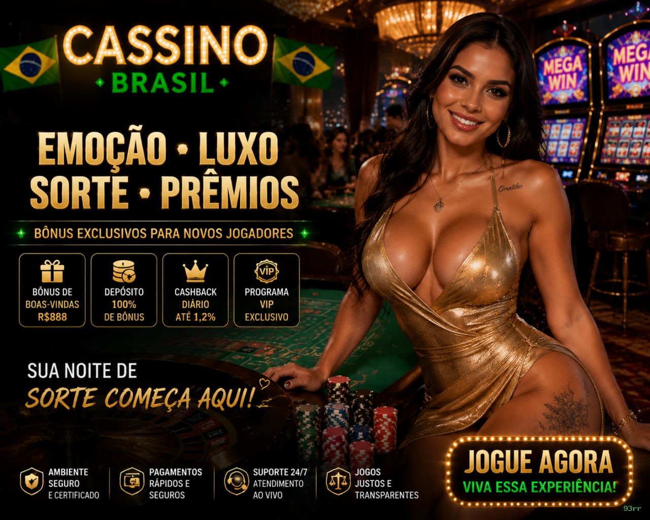 Programa VIP 93rr